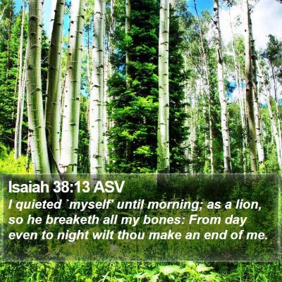 Isaiah 38:13 ASV Bible Verse Image