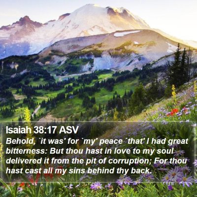 Isaiah 38:17 ASV Bible Verse Image