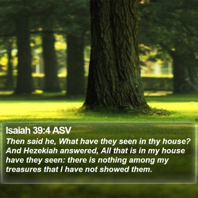 Isaiah 39:4 ASV Bible Verse Image