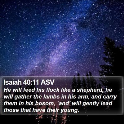 Isaiah 40:11 ASV Bible Verse Image