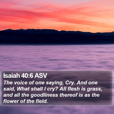 Isaiah 40:6 ASV Bible Verse Image