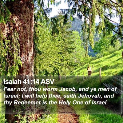 Isaiah 41:14 ASV Bible Verse Image