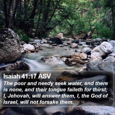 Isaiah 41:17 ASV Bible Verse Image