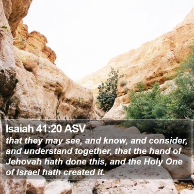 Isaiah 41:20 ASV Bible Verse Image