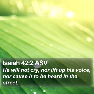 Isaiah 42:2 ASV Bible Verse Image