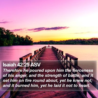 Isaiah 42:25 ASV Bible Verse Image