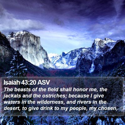 Isaiah 43:20 ASV Bible Verse Image