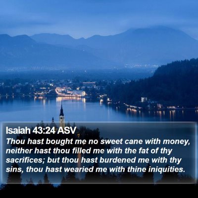 Isaiah 43:24 ASV Bible Verse Image