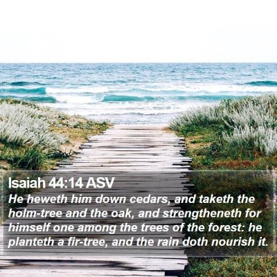 Isaiah 44:14 ASV Bible Verse Image