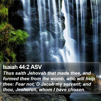 Isaiah 44:2 ASV Bible Verse Image