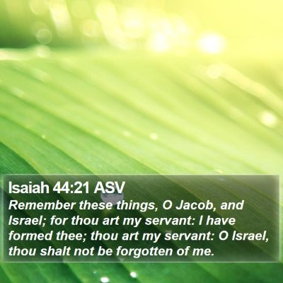 Isaiah 44:21 ASV Bible Verse Image