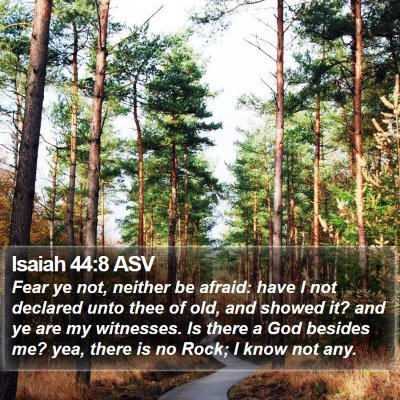 Isaiah 44:8 ASV Bible Verse Image