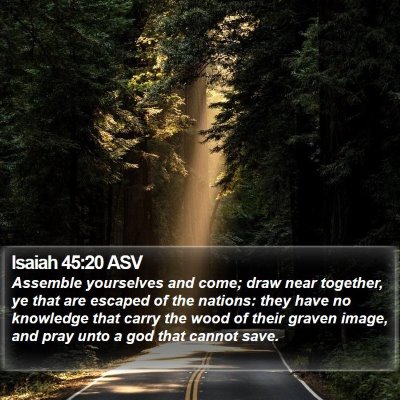 Isaiah 45:20 ASV Bible Verse Image