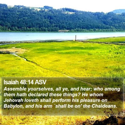 Isaiah 48:14 ASV Bible Verse Image