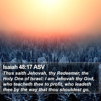 Isaiah 48:17 ASV Bible Verse Image