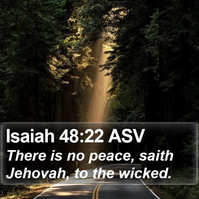 Isaiah 48:22 ASV Bible Verse Image