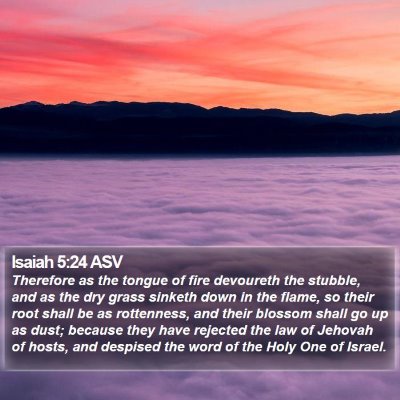 Isaiah 5:24 ASV Bible Verse Image