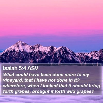 Isaiah 5:4 ASV Bible Verse Image