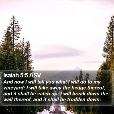 Isaiah 5:5 ASV Bible Verse Image