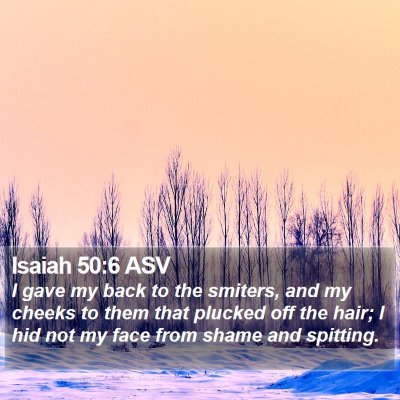 Isaiah 50:6 ASV Bible Verse Image