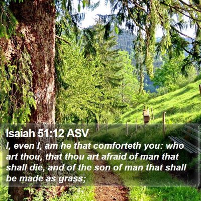 Isaiah 51:12 ASV Bible Verse Image