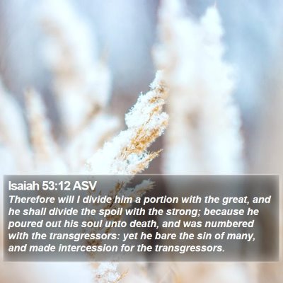 Isaiah 53:12 ASV Bible Verse Image