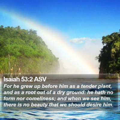 Isaiah 53:2 ASV Bible Verse Image