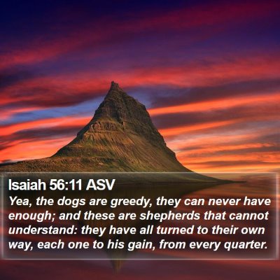 Isaiah 56:11 ASV Bible Verse Image