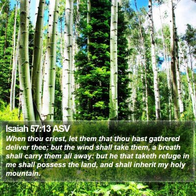 Isaiah 57:13 ASV Bible Verse Image