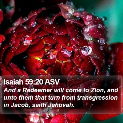 Isaiah 59:20 ASV Bible Verse Image