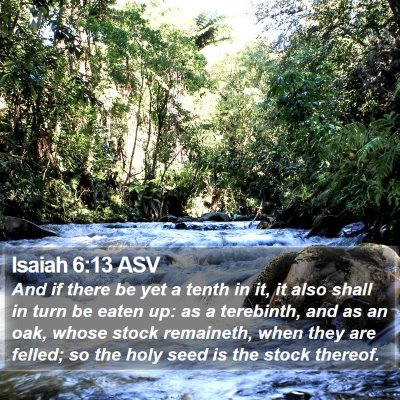 Isaiah 6:13 ASV Bible Verse Image