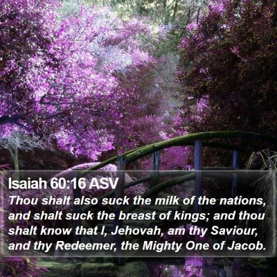 Isaiah 60:16 ASV Bible Verse Image