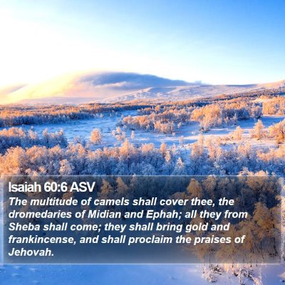 Isaiah 60:6 ASV Bible Verse Image