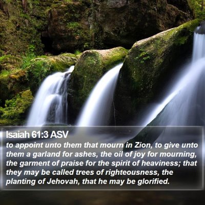 Isaiah 61:3 ASV Bible Verse Image