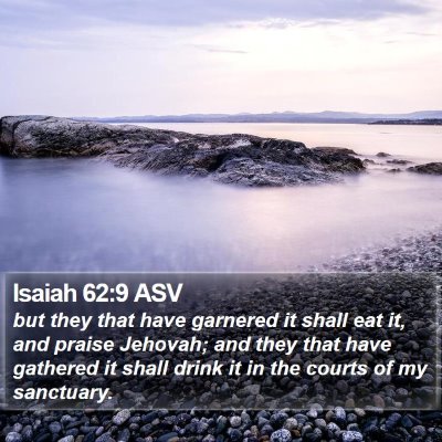 Isaiah 62:9 ASV Bible Verse Image