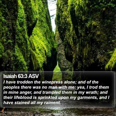 Isaiah 63:3 ASV Bible Verse Image