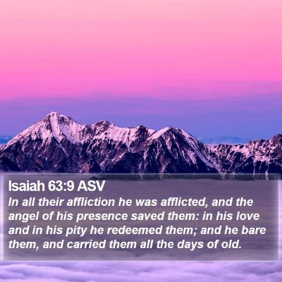 Isaiah 63:9 ASV Bible Verse Image