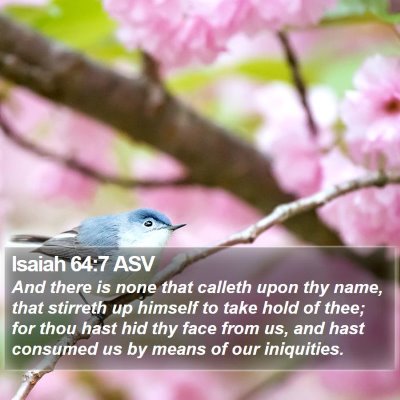 Isaiah 64:7 ASV Bible Verse Image