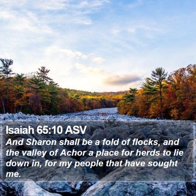Isaiah 65:10 ASV Bible Verse Image