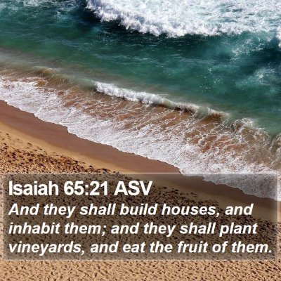 Isaiah 65:21 ASV Bible Verse Image