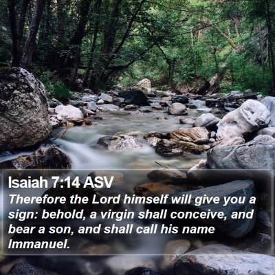 Isaiah 7:14 ASV Bible Verse Image