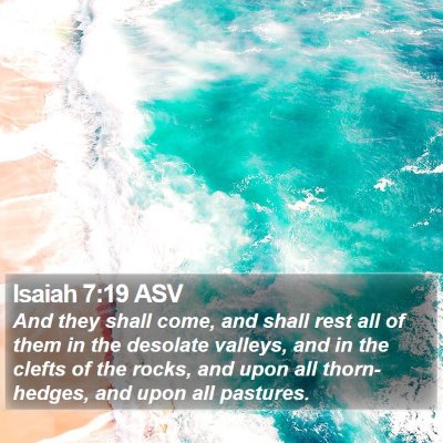 Isaiah 7:19 ASV Bible Verse Image