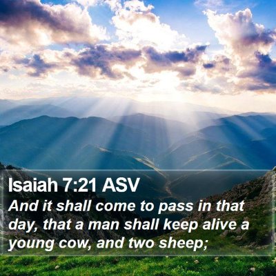 Isaiah 7:21 ASV Bible Verse Image
