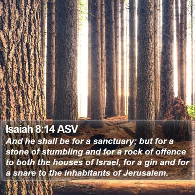 Isaiah 8:14 ASV Bible Verse Image
