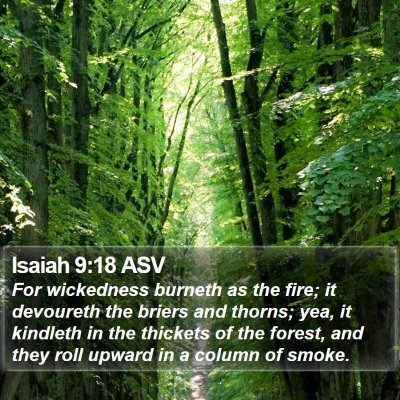 Isaiah 9:18 ASV Bible Verse Image