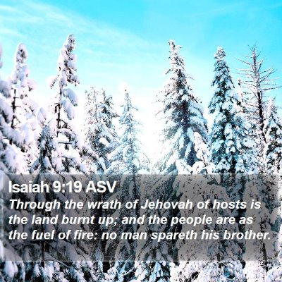 Isaiah 9:19 ASV Bible Verse Image