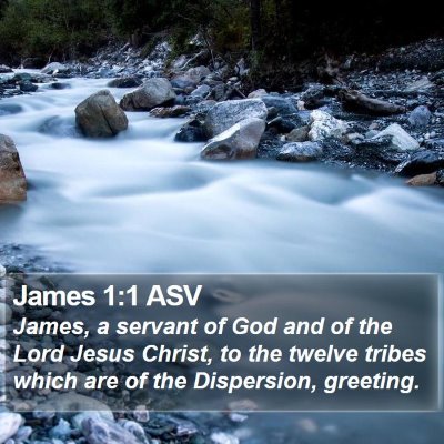 James 1:1 ASV Bible Verse Image