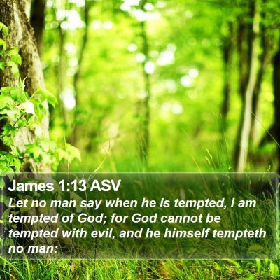 James 1:13 ASV Bible Verse Image