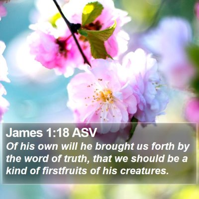 James 1:18 ASV Bible Verse Image