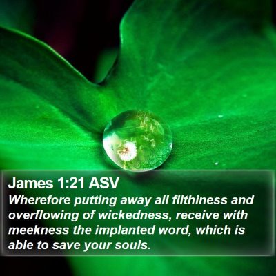 James 1:21 ASV Bible Verse Image